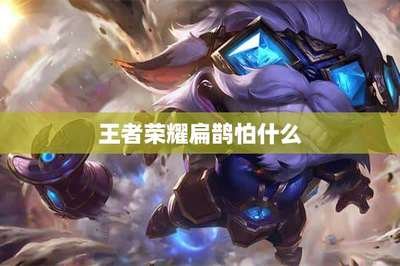 扁鹊出装.jpg