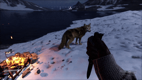 4.gif