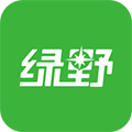 绿野app