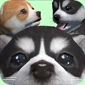 可爱的口袋小狗3D游戏中如何解锁更多品种的小狗