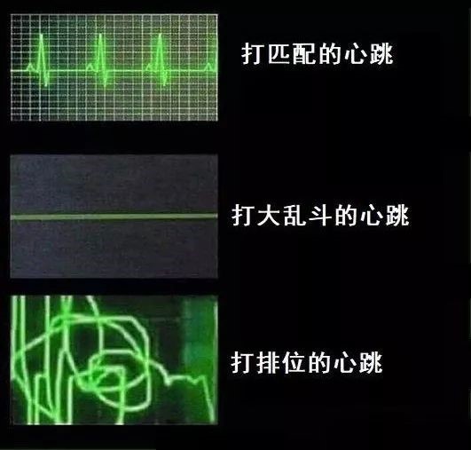 離譜！逆水寒新戰(zhàn)場成老司機天堂，竟比誰車速更快