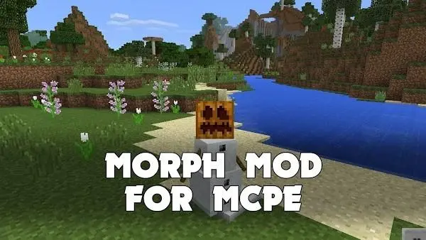 morph怎么改技能效果