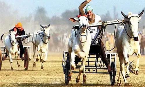 印度牛出装 印度神牛出装顺序