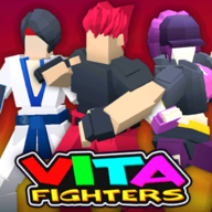 VitaFighters