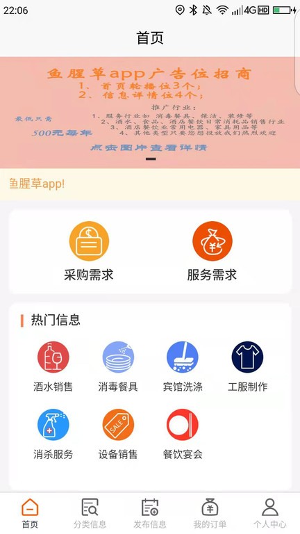 鱼腥草图2