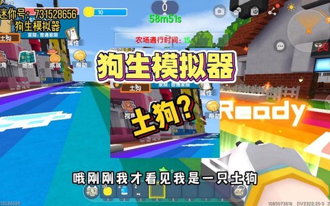 迷你世界狗狗怎么繁殖