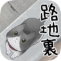 迷路的猫