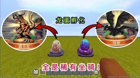 迷你世界怎么拿走龙蛋