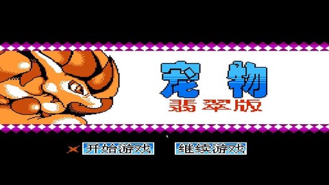 口袋妖怪fc怎么看