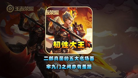 王者荣耀什么叫韧性