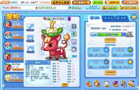 洛克王国宠物蛋怎么孵化