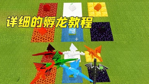 我的世界中的龍蛋怎么孵化