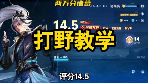 王者荣耀刺客怎么用