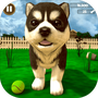 小狗小猫模拟器