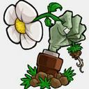pvz损版