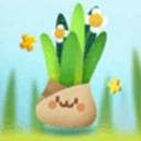 口袋植物测试版